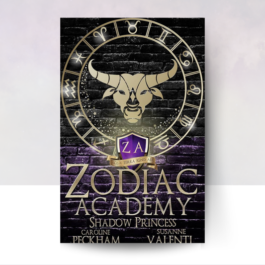 Zodiac Academy: 4 Shadow Princess